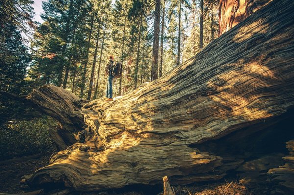 How to plan a self-guided walking tour of the historic streets of Edinburgh?